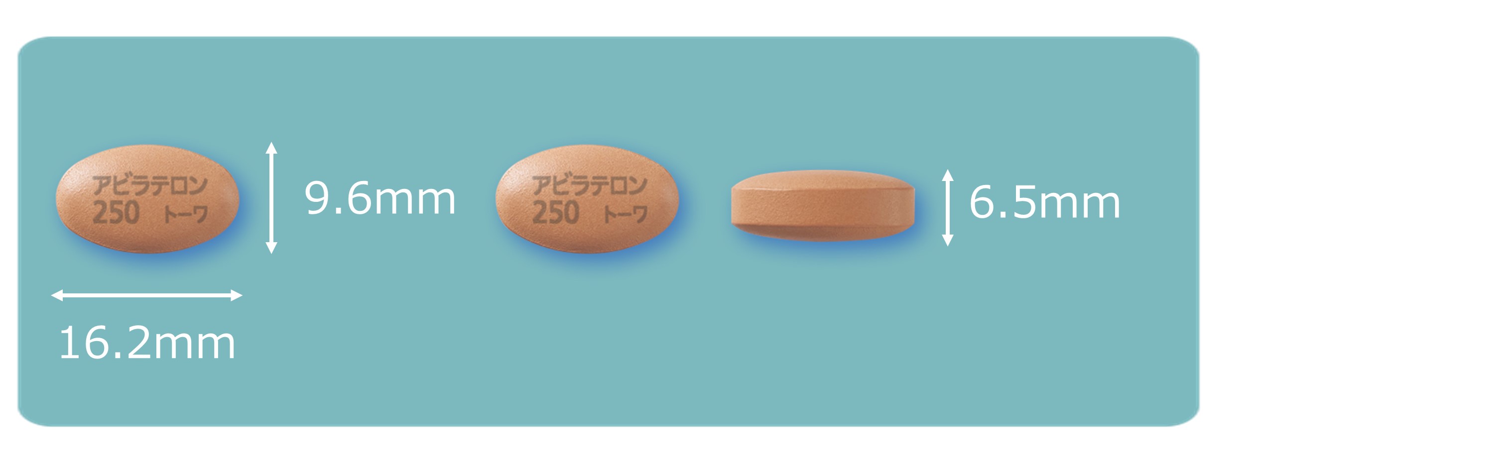 アビラテロン酢酸エステル錠250mg「トーワ」錠剤写真
